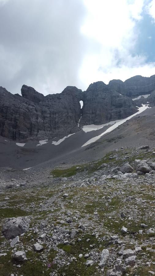 Hotel Garni Al Nardis Carisolo Kültér fotó